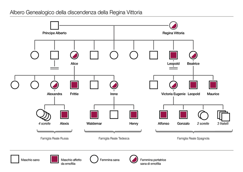 Emofilia nella discendenza Regina Vittoria