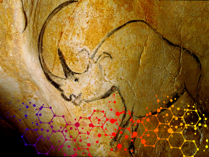 Chauvet_Rinoceronte lanoso_Megafauna