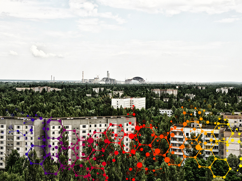 Piante a Chernobyl