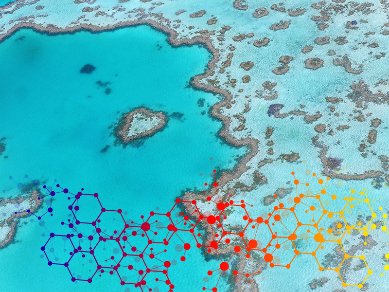 Cambiamento degli ecosistemi