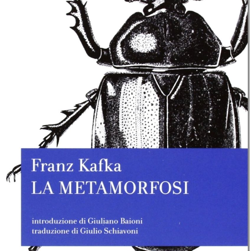 Divagazione_Exuvia_La metamorfosi Kafka