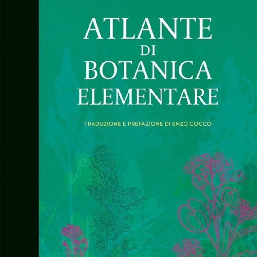 Atlante di botanica elementare