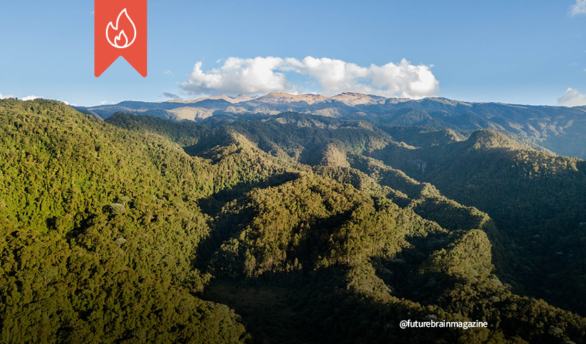 Paesaggio colombiano