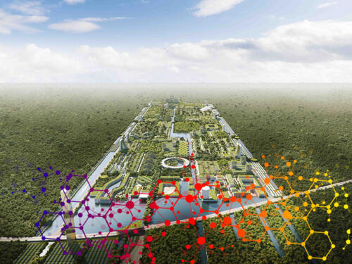 Smart Forest cities